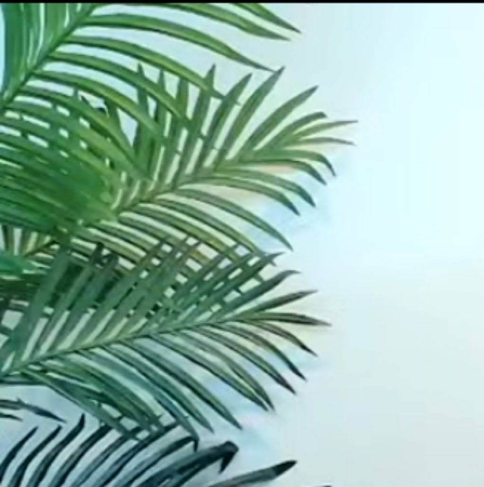 N/A